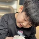 작은농장 | 파주에 있는 실내 작은 동물원 &lt; 나눔농장&gt; 방문후기