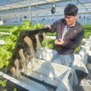 친환경부여농장 이미지