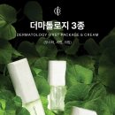 리즈인셀덤
