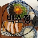 백소정 화정점 화정역 맛집 우동 마제소바 냉온 소바 모밀메밀 돈까스 전문점 맛집