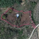 충주주덕공인중개사사무소 이미지