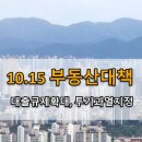 씨티(합동) 공인중개사사무소 | 25.10.15 주택시장 안정화 대책, 무엇이 어떻게 바뀌나? (+규제지역확대, 대출한도 축소)