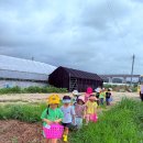 각골농장 이미지