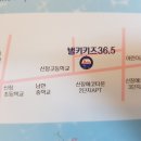 벌키키즈 36.5 수영장 이미지