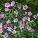 입체영상관 이미지