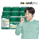 하이초도