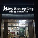 마이뷰티독 이미지