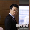 늘푸른나무 이미지