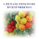 팔야2리 마을회관 | 경기도 남양주시 진접읍 팔야리 789-4 근린생활시설