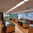 인지초등학교 이미지