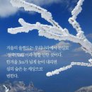 도동할인마트