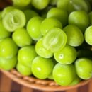 달코미상회 이미지