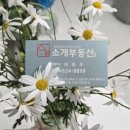 영등동-35 이미지