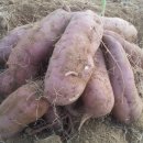 덕암농원 이미지