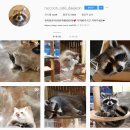 멍이와 쿤이 이미지