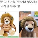 머리가살롱살롱 이미지