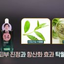 포마이뷰티