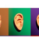 독일시그니아보청기 이미지