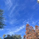 채플린 당구장 이미지