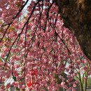 사랑의연못 이미지