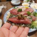 김용희 참치 이미지