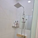 신은철복싱월드 이미지