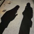 하늘멍가 이미지