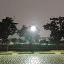 낙동강체육공원 제3주차장 이미지