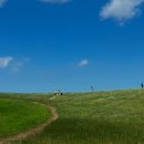 천해목장 | 사랑