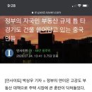 왕서방의 한국 아파트 투기 - 이문덕 이미지