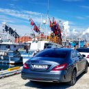 제주일상 이미지