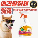 파우더-Dog 이미지