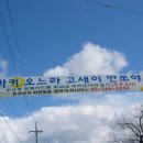 포장마을 이미지