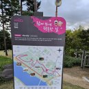 하늘공원 서울억새축제 후기!!!(feat 바람이 불어오는 곳)