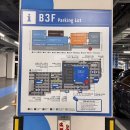 11545-11-31-30 | 마키노차야 블랙31 잠실 롯데타워 맛집 평일 런치 내돈내산(결혼기념일·할인·주차팁)