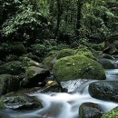 디자인바탕 이미지