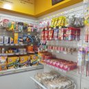 24시애견미용 이미지