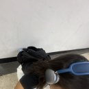 11월 부정하며 다급하게 올리는 9-10월