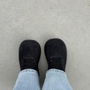 (주)벅스박스 | 호카 클리프톤9 사고 도시락 싸고 퍼블릭스 치킨 사먹은 일기 | 조지아주 주재원 배우자 일기(Week22)