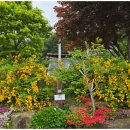 태기산아침의새소리 | 친구들과 여름휴가! 횡성 숙소 태기산 아침의새소리펜션에서 물놀이