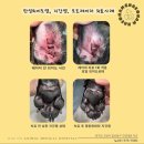 온 동물병원 이미지