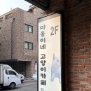 야옹이네 | 개냥이천국 호매실 야옹이네고양이카페 후기