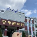 청안면다목적광장 | 충북 벚꽃 명소 괴산 청안벚꽃길 에서 만끽한 봄맞이