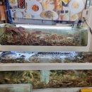 홍게대게무한리필타운