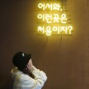 울산 무거동육회 육회한하루 맛과 분위기 가성비까지 갓벽한 울산육회 울산대맛집
