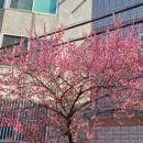 미주장여관 이미지