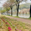 탕정면 삼성로 이미지