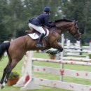 블루홀스 승마센터 이미지