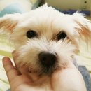 옹기종기 이미지