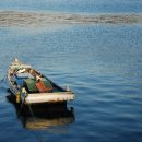 트로피칼드림 이미지